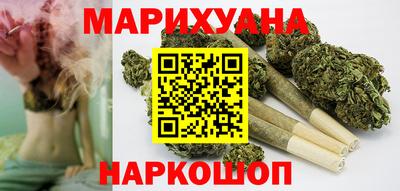 гашик Новозыбков