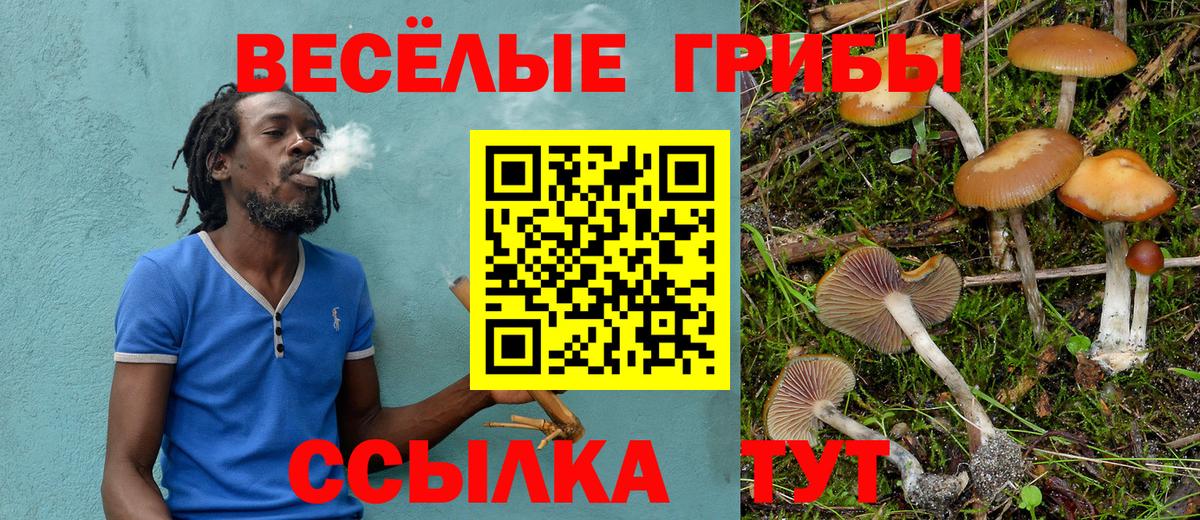Галлюциногенные грибы мицелий Дмитров