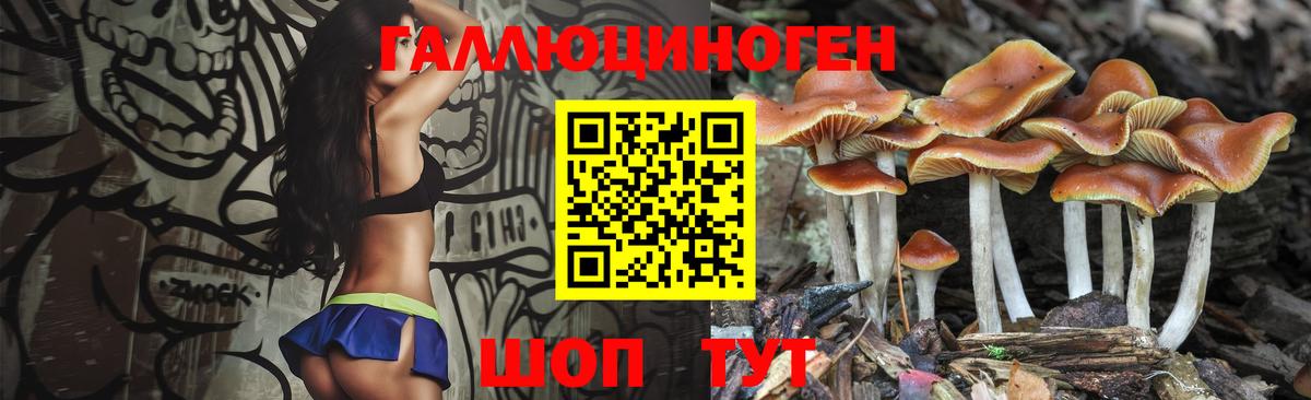 Дмитров  Галлюциногенные грибы GOLDEN TEACHER  Вход с VPN 